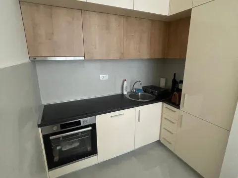 Rent, one bedroom apartment, 47m², Central Point, Podgorica - image 2