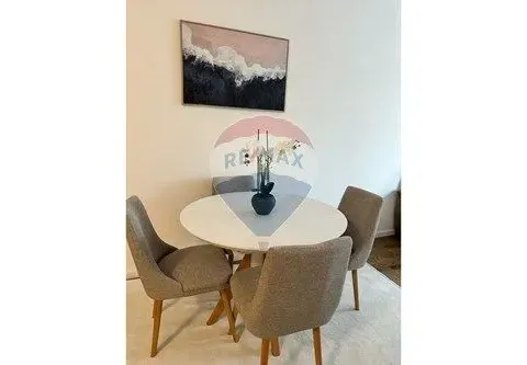 Izdavanje, jednosoban stan, 44m², Pobrežje, Podgorica - image 3