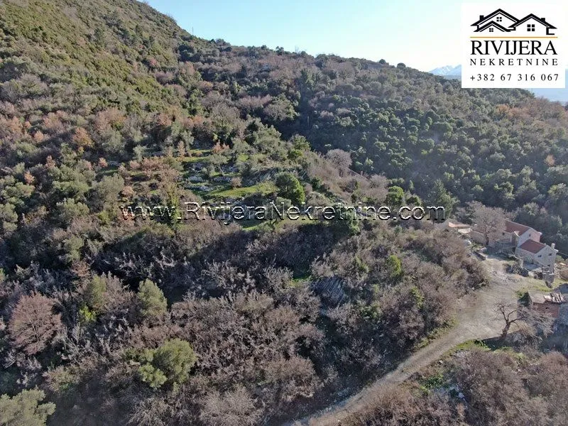 Prodaja, plac, 4977m², Bijela, Herceg Novi
