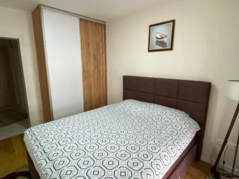 Izdavanje, jednosoban stan, 47m², Central Point, Podgorica - image 2