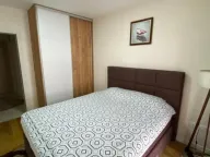 Izdavanje, jednosoban stan, 47m², Central Point, Podgorica - image 2