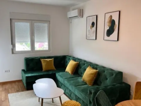 Izdavanje, jednosoban stan, 45m², Stari Aerodrom, Podgorica - image 3