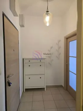 Rent, one bedroom apartment, 46m², Zabjelo, Podgorica - image 8