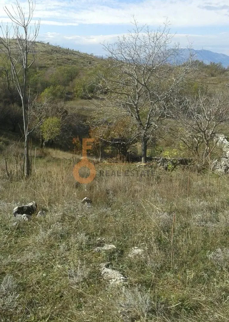 Prodaja, plac, 221500m², Ostalo, Podgorica