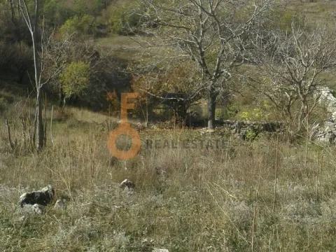 Prodaja, plac, 221500m², Ostalo, Podgorica - image 6