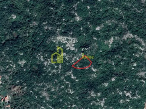 Sale, land lot, 10046m², Cetinje, Crna Gora - image 3