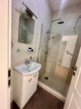 Moderno opremljeno kupatilo sa tuš kabinom i umivaonikom. - image 12