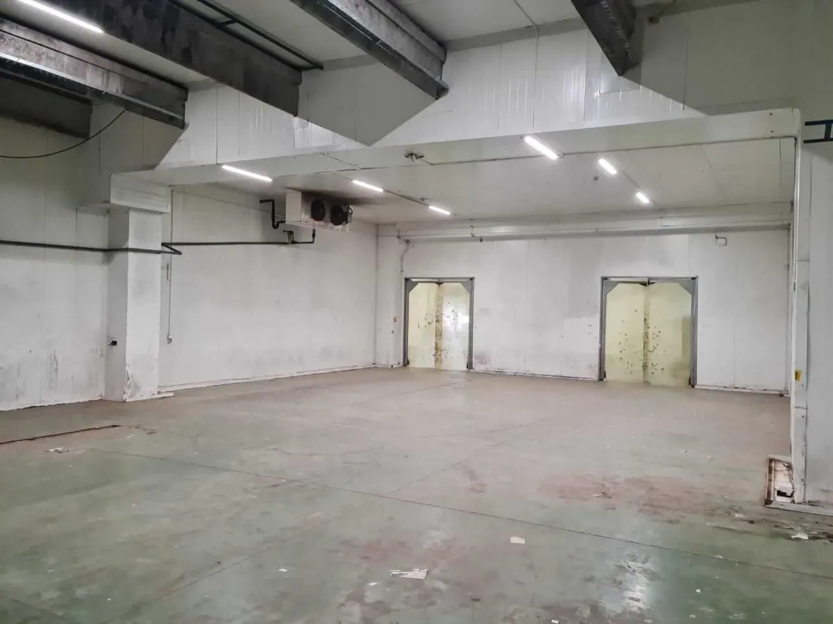 Rent, office space, 800m², Šimanovci, Pećinci