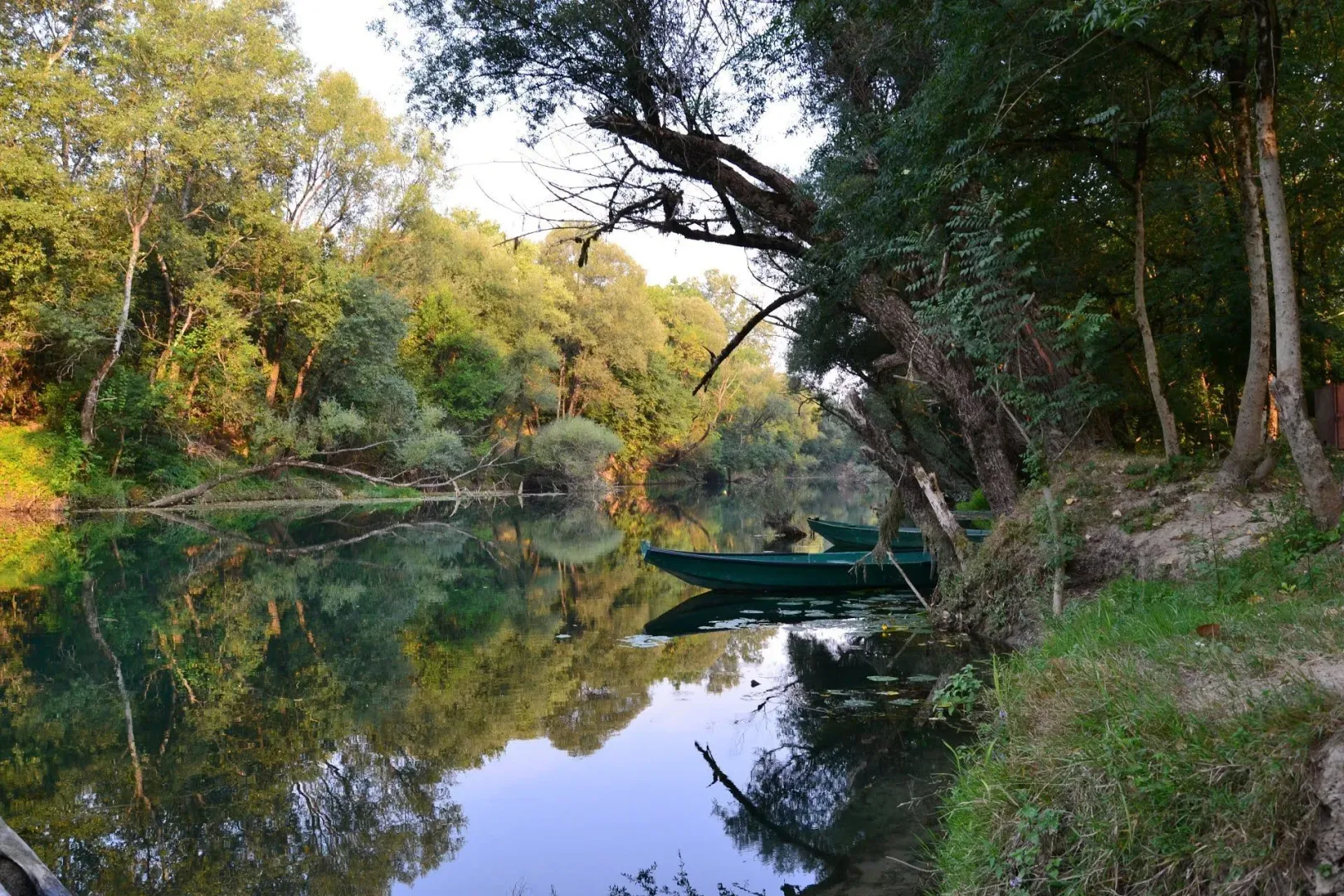 Pogled na mirnu rijeku okruženu gustim zelenilom sa drvenim čamcima na obali.
