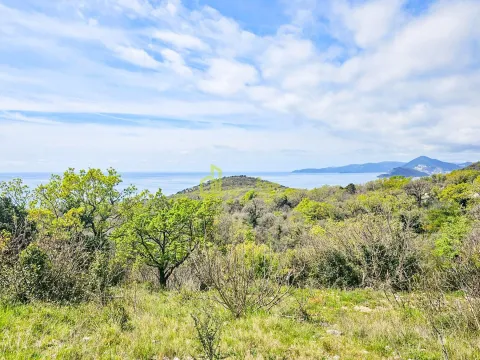 Prodaja, plac, 3000m², Budva, Crna Gora - image 2