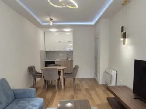 Izdavanje, jednosoban stan, 47m², Central Point, Podgorica - image 6