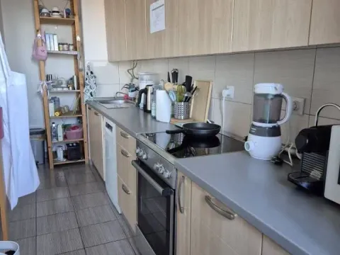 Prodaja, dvosoban stan, 60m², Lion, Zvezdara Sve Podlokacije - image 2