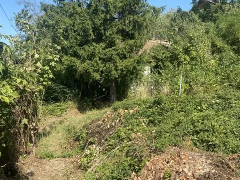 Prodaja, plac, 1290m², Jajinci, Voždovac Sve Podlokacije - image 3