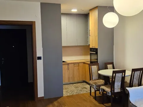 Rent, one bedroom apartment, 48m², Ljubović, Podgorica - image 10