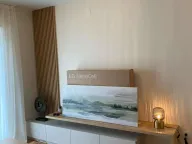 Rent, one bedroom apartment, 40m², Pobrežje, Podgorica - image 4