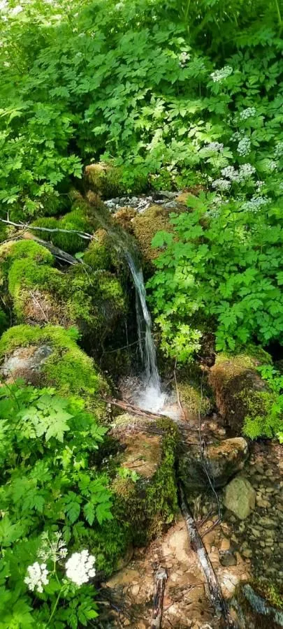 Prodaja, plac, 19200m², Štitarica, Mojkovac