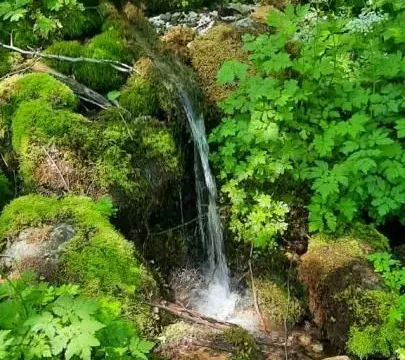 Land Lot for Sale, 19200m2, Štitarica, Mojkovac Land Lot for Sale, 19200m2, Štitarica, Mojkovac