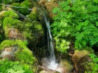 Prodaja, plac, 19200m², Štitarica, Mojkovac - image 1