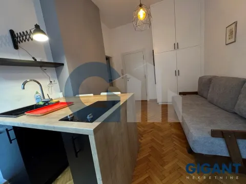 Izdavanje, dvosoban stan, 45m², Cvetni Trg, Vračar Sve Podlokacije - image 9