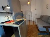 Izdavanje, dvosoban stan, 45m², Cvetni Trg, Vračar Sve Podlokacije - image 9