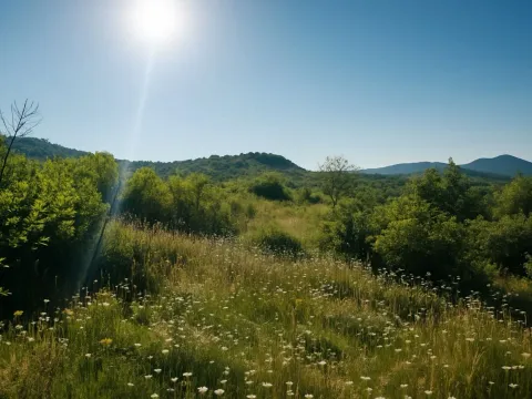 Prodaja, plac, 30962m², Podgorica, Crna Gora - image 3