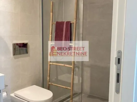 Izdavanje, dvosoban stan, 50m², Savski Venac, Beograd - image 6