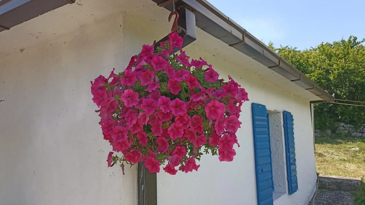 Prodaja, kuća, 79m², Danilovgrad, Crna Gora