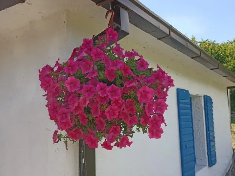 Sale, house, 79m², Danilovgrad, Crna Gora - image 4