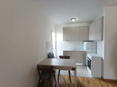 Izdavanje, jednosoban stan, 45m², Centar, Podgorica - image 5