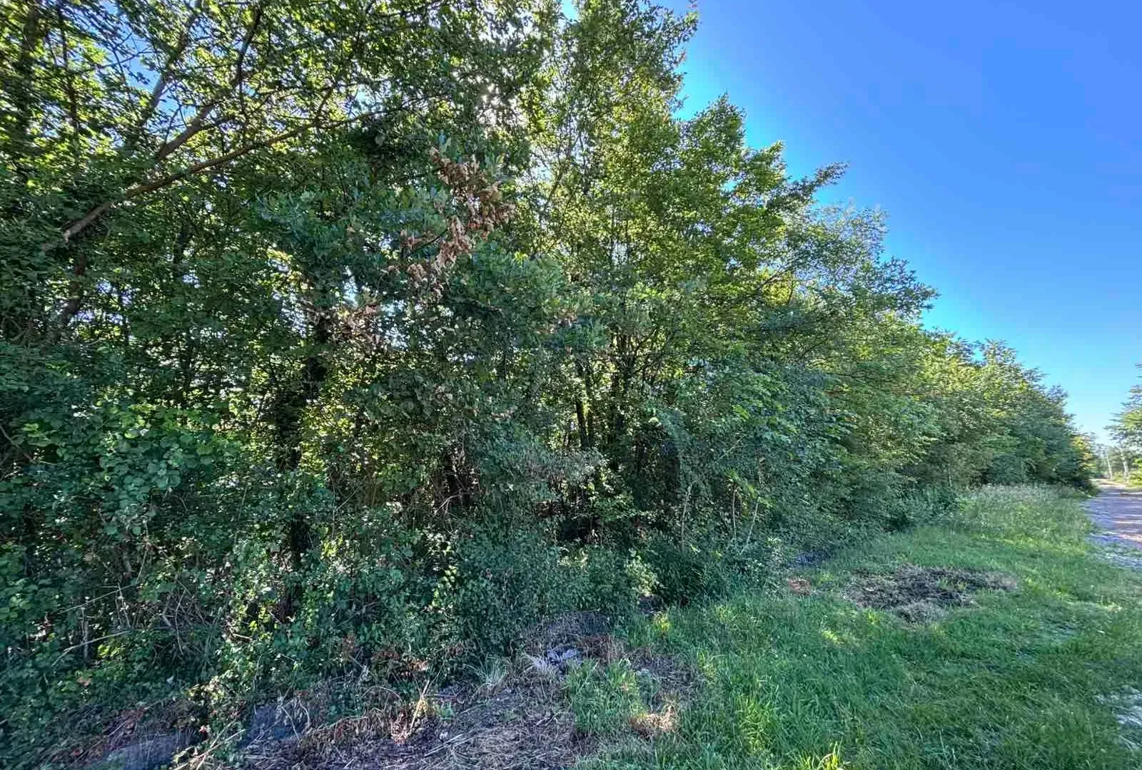 Prodaja, plac, 2386m², Kosić, Danilovgrad