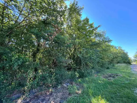 Prodaja, plac, 2386m², Kosić, Danilovgrad - image 3