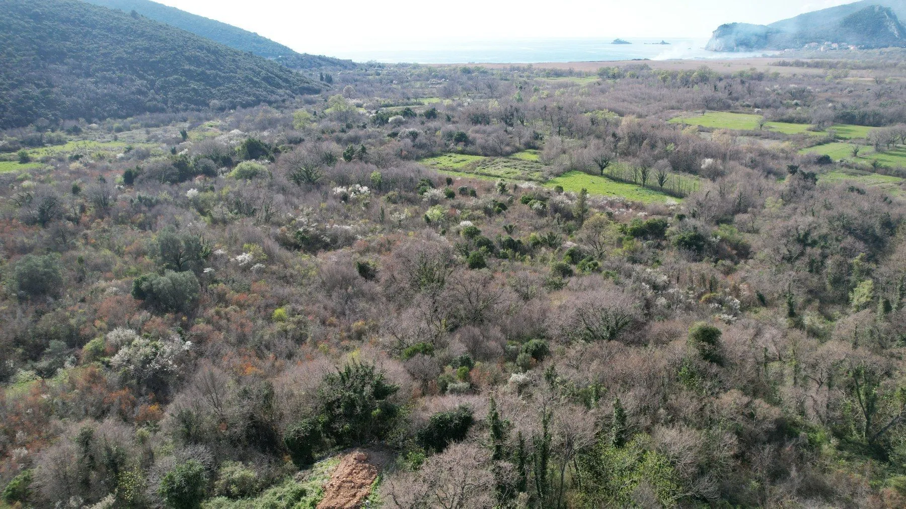 Sale, land lot, 40000m², Buljarica, Budva