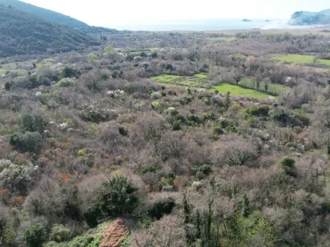 Prodaja, plac, 40000m², Buljarica, Budva - image 10