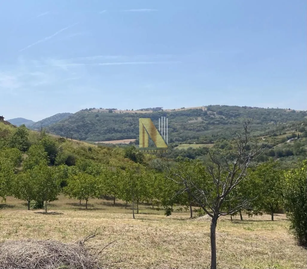 Prodaja, plac, 2656m², Ledinci, Petrovaradin