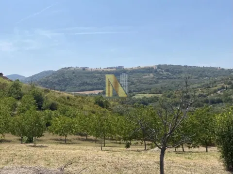 Prodaja, plac, 4469m², Ledinci, Petrovaradin - image 5