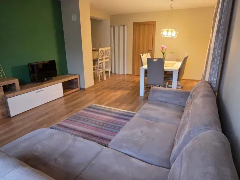 Izdavanje, jednosoban stan, 60m², Cetinje, Crna Gora - image 2