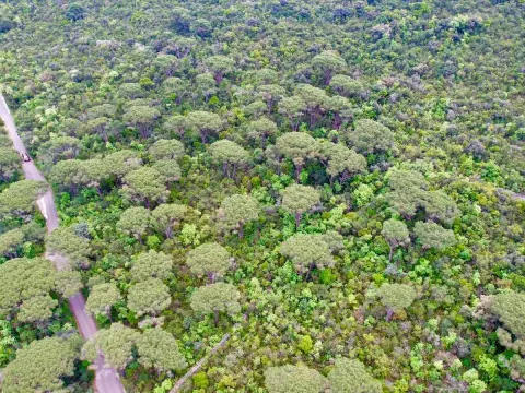 Sale, land lot, 5218m², Herceg Novi, Crna Gora - image 5