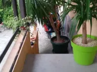 Prodaja, kuća, 137m², Centar, Jagodina - image 7