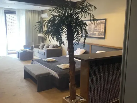 Izdavanje, jednosoban stan, 55m², Savski Venac, Beograd - image 2