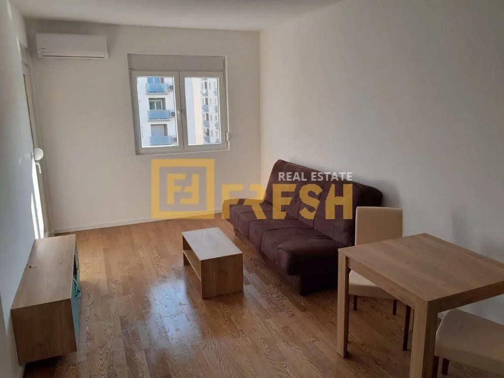 Rent, one bedroom apartment, 43m², Pobrežje, Podgorica