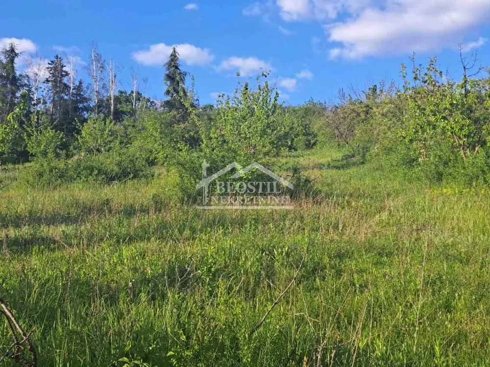 Prodaja, plac, 10000m², Ritopek, Grocka