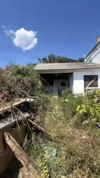 Pogled na dvorište i spoljašnjost kuće sa rastinjem. - image 2