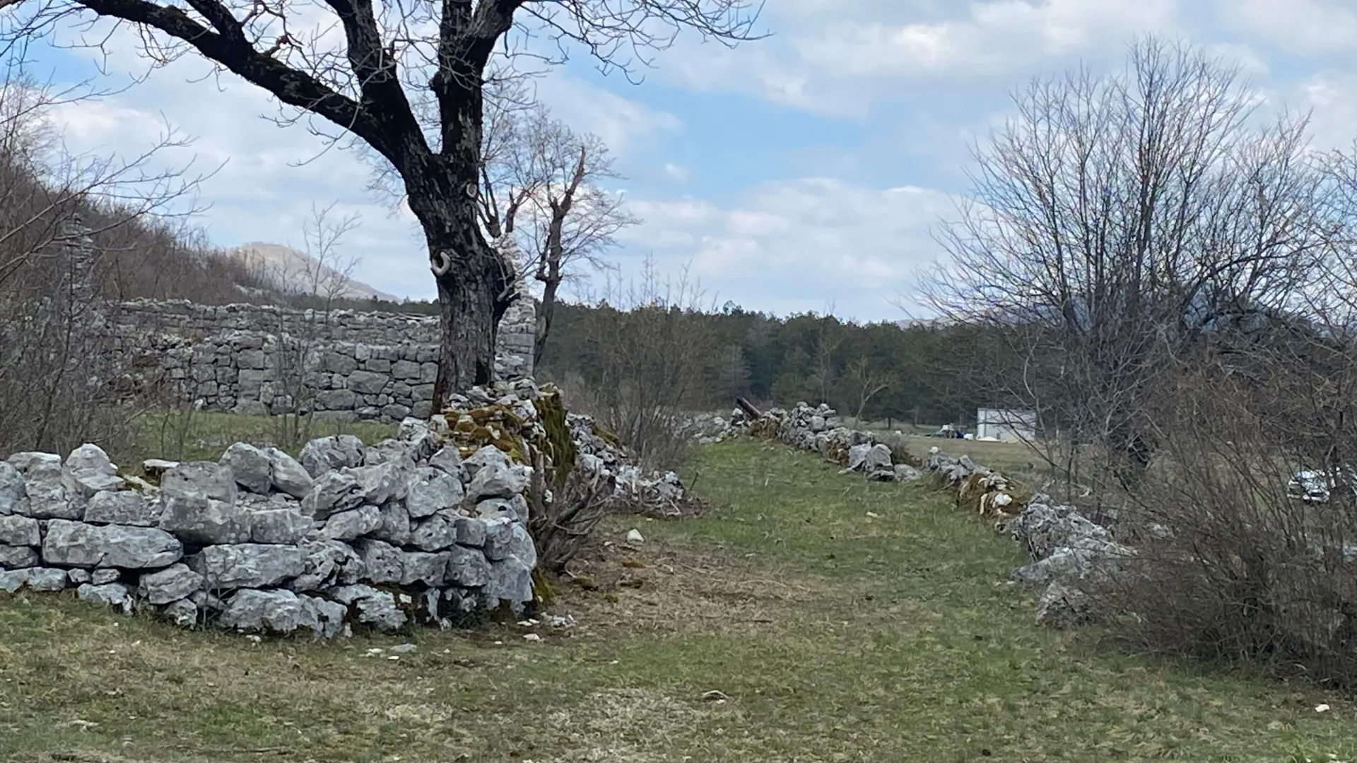 Prodaja, plac, 12000m², Grahovo, Nikšić
