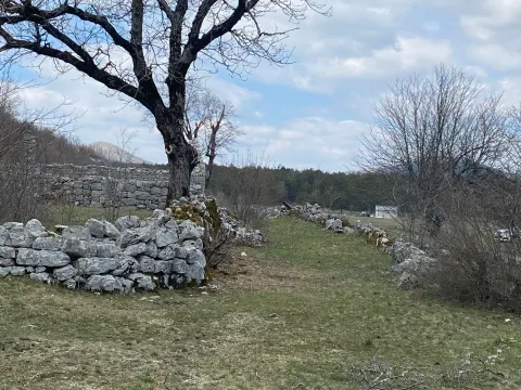 Prodaja, plac, 12000m², Grahovo, Nikšić - image 10