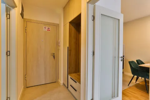 Rent, one bedroom apartment, 48m², Stari Aerodrom, Podgorica - image 7