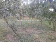 Prodaja, kuća, 150m², Obrež, Pećinci - image 12