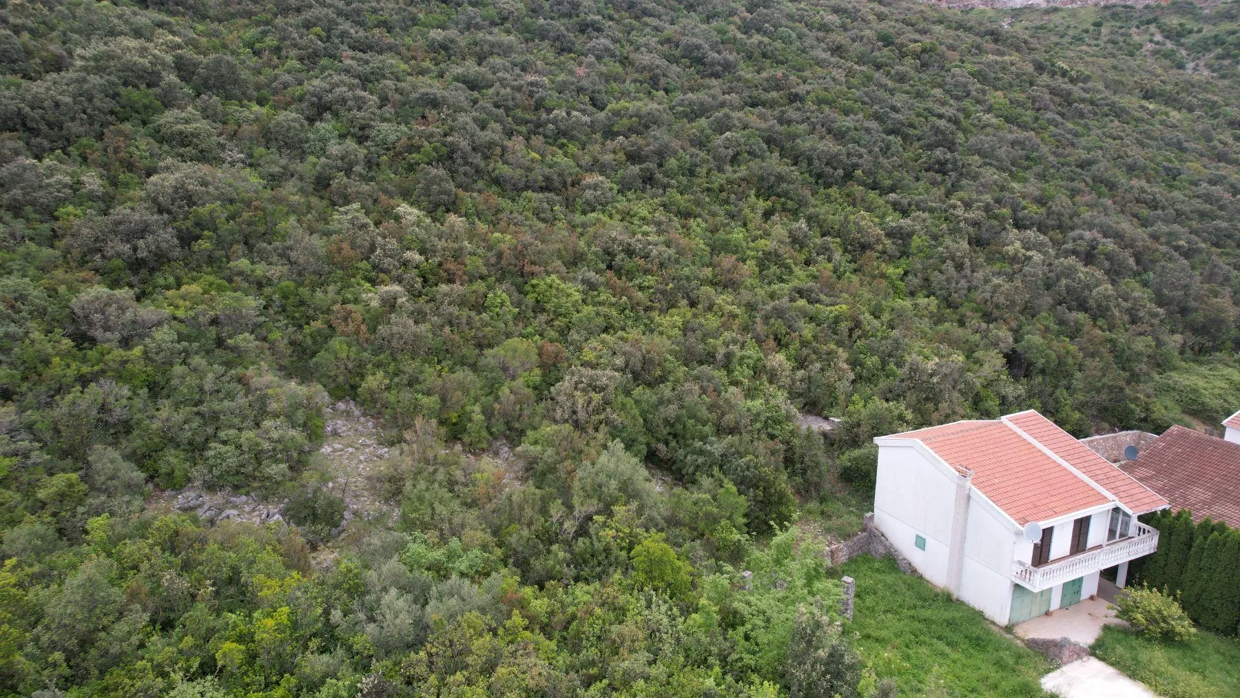 Prodaja, plac, 3585m², Krimovica, Kotor