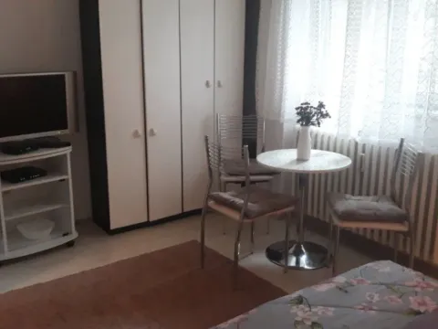 Stan-na-dan, garsonjera, 25m², Vrbas, Novi Sad - image 3