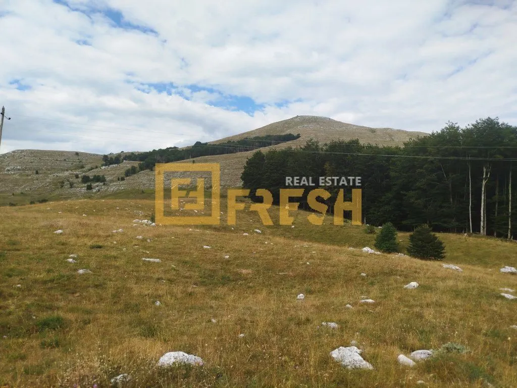 Prodaja, plac, 20000m², Nikšić, Crna Gora