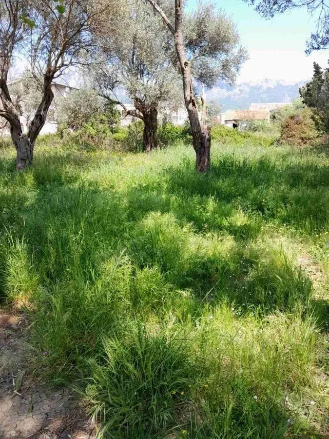 Prodaja, plac, 500m², Bjeliši, Bar